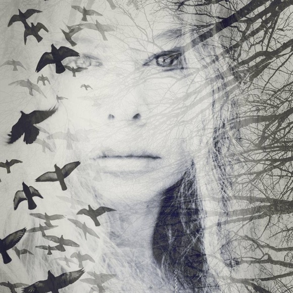 Meet your Posher, Starr - Picture 1 of 1